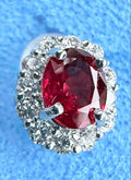 Pigeon Blood Ruby Earrings