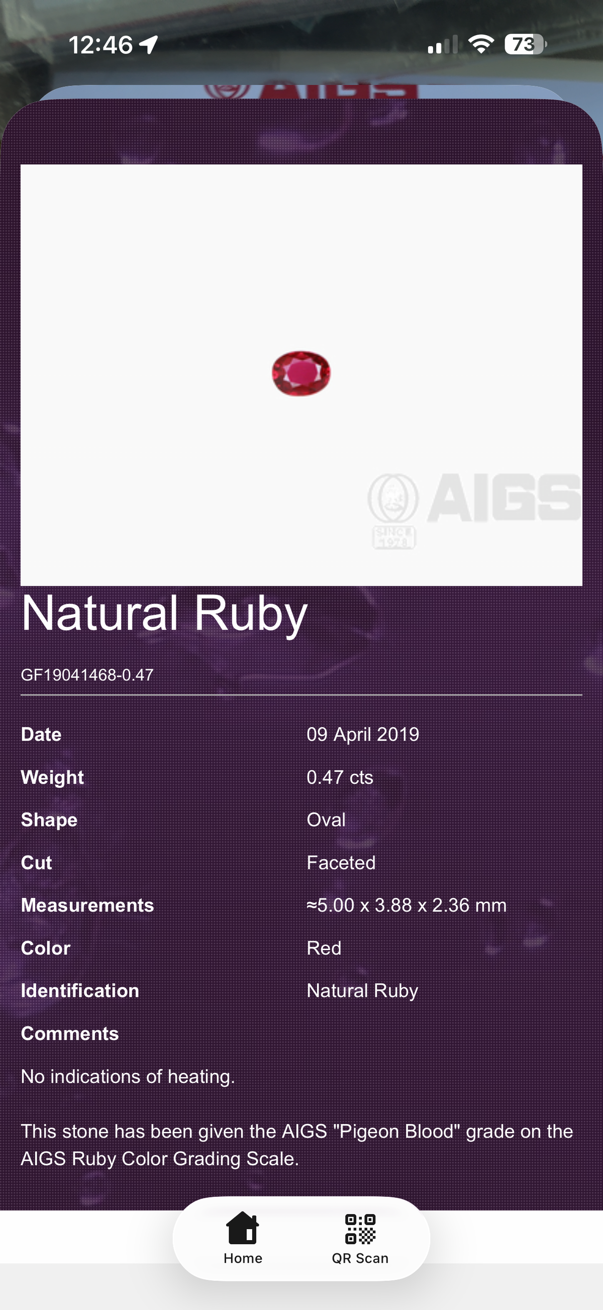 Pigeon Blood Ruby Earrings